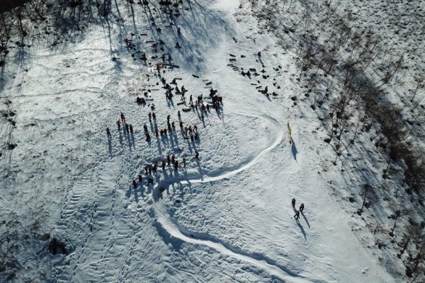 Кракен через тор