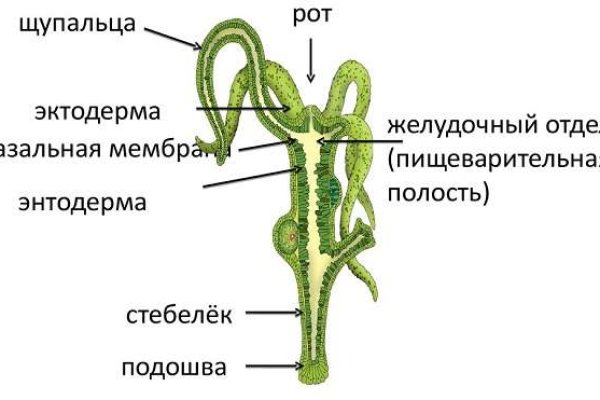 Наркосайт кракен